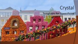  Presentation with tulips - Amazing presentation theme having tulips on flowers parade backdrop and a light blue colored foreground