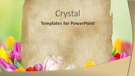  Presentation with blurred flowers - Slide deck featuring tulips over blurred green background bouquet of spring easter flowers background and a soft green colored foreground