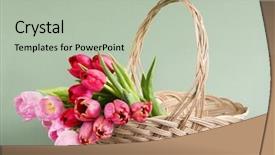  Presentation with pink green - Beautiful PPT layouts featuring tulips - red pink backdrop and a mint green colored foreground