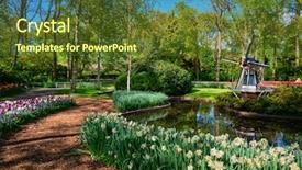  Presentation with windmill - Theme having tulips windmill - keukenhof flower garden one background and a tawny brown colored foreground