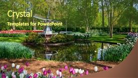  Presentation with world - Slide deck featuring tulips windmill - keukenhof flower garden one background and a tawny brown colored foreground