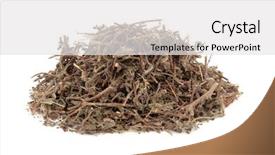  Presentation with alternative medicine - Slide set with tulsi holy basil herb used background and a white colored foreground
