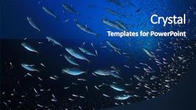  Presentation with sardines - Audience pleasing slide deck consisting of tuna fish hunting sardines backdrop and a  colored foreground