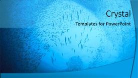  Presentation with fish tuna - Slides having tuna fish hunting sardines background and a cyan colored foreground