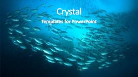  Presentation with fish tuna - Slide deck with tuna fish in ocean background and a teal colored foreground