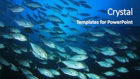  Presentation with tuna fish - Beautiful presentation design featuring tuna fish in ocean backdrop and a teal colored foreground