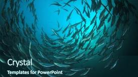  Presentation with tuna fish - Audience pleasing presentation theme consisting of tuna fish in ocean backdrop and a ocean colored foreground
