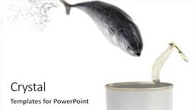  Presentation with tuna fish - Theme enhanced with tuna fish jumping background and a white colored foreground