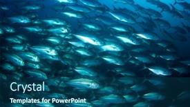  Presentation with fish tuna - Cool new slides with tuna-fish-underwater-in-ocean backdrop and a ocean colored foreground