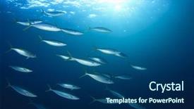  Presentation with fish tuna - PPT layouts enhanced with tuna fish underwater live ocean background and a navy blue colored foreground
