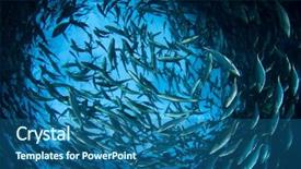  Presentation with fish tuna - Audience pleasing PPT theme consisting of tuna fish underwater backdrop and a ocean colored foreground