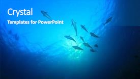  Presentation with tuna fish - Slide set having tuna fish underwater background and a light gray colored foreground