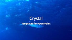  Presentation with tuna fish - Slides with tuna fish underwater background and a dark gray colored foreground