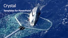  Presentation with release - Presentation having tuna mediterranean big game fish background and a ocean colored foreground