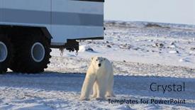  Presentation with vehicles - Slide deck consisting of tundra-buggies-provide-transportation background and a seafoam green colored foreground