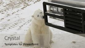  Presentation with manitoba - PPT layouts with tundra-buggies-provide-transportation background and a light gray colored foreground