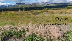  Presentation with financial circle - Audience pleasing presentation consisting of tundra landscapes above arctic circle backdrop and a coral colored foreground