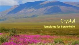  Presentation with tundra - Theme enhanced with tundra-landscapes-above-arctic-circle background and a tawny brown colored foreground