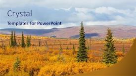  Presentation with tundra - Slide deck with tundra-landscapes-above-arctic-circle background and a sky blue colored foreground