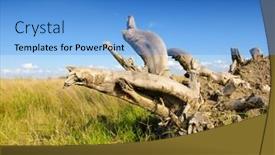  Presentation with tundra - Cool new presentation theme with tundra backdrop and a teal colored foreground