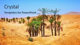  Presentation with sahara - Slides with palm tree deasert - sahara desert background and a light blue colored foreground