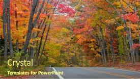  Presentation with tunnel - PPT layouts having tunnel-of-trees-in-autumn background and a tawny brown colored foreground