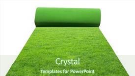  Presentation with green grass artificial top - Amazing presentation design having turf - artificial rolled green grass isolated backdrop and a tawny brown colored foreground