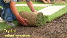  Presentation with garden - Theme with turf - man laying sod for new background and a tawny brown colored foreground