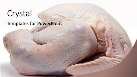  Presentation with non gmo beef pork chicken turkey - PPT theme enhanced with turkey not a chicken ready background and a sky blue colored foreground