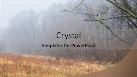  Presentation with underwater wild nature sea life - Slide set enhanced with turkeys on a nature trail background and a  colored foreground