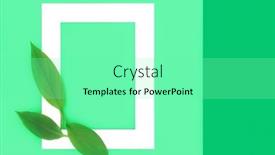  Presentation with eco friendly - PPT theme having turmeric-leaf-eco-friendly-background background and a seafoam green colored foreground