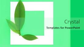  Presentation with abstract leaves - Presentation theme with turmeric-leaves-abstract-background background and a seafoam green colored foreground
