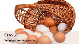  Presentation with wicker - PPT theme having turn - brown and white eggs background and a coral colored foreground