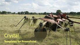  Presentation with turn around time - Audience pleasing presentation consisting of michael angelo - detail of the fountain of backdrop and a coral colored foreground