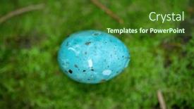  Presentation with moss - PPT theme consisting of turquoise-bird-s-egg background and a tawny brown colored foreground