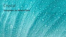  Presentation with blue drops - Presentation theme having turquoise-blue-leaf-with-water background and a teal colored foreground
