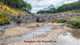  Presentation with dam - Slide set consisting of turquoise-river-with-a-beaver background and a mint green colored foreground