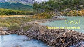  Presentation with dam - Beautiful theme featuring turquoise-river-with-a-beaver backdrop and a tawny brown colored foreground