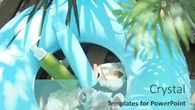 Presentation with leaves flat lay - PPT layouts with turquoise-sunscreen-bottle-empty-template background and a arctic colored foreground