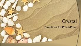  Presentation with abalone - Slides featuring turritella shells on beach background and a coral colored foreground
