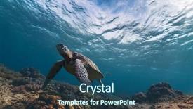  Presentation with clear - Slide deck enhanced with turtle in the clear sea background and a ocean colored foreground