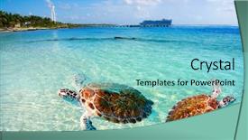  Presentation with caribbean - PPT theme with turtle photomount in costa maya background and a seafoam green colored foreground