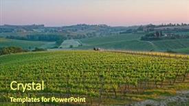  Presentation with vine - Colorful theme enhanced with tuscan vineyard at sunrise vine spraying is underway backdrop and a tawny brown colored foreground