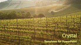  Presentation with vine - Colorful presentation theme enhanced with tuscan vineyard at sunrise vine spraying is underway backdrop and a tawny brown colored foreground