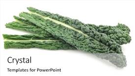  Presentation with tuscany - Presentation theme having tuscany cavolo laciniato nero background and a white colored foreground