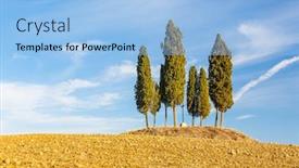  Presentation with tuscany - Audience pleasing PPT theme consisting of tuscany-landscape-with-cypress-trees backdrop and a light blue colored foreground