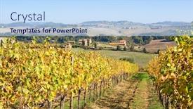  Presentation with tuscany - Beautiful slide set featuring tuscany-panorama-with-vineyards backdrop and a light blue colored foreground
