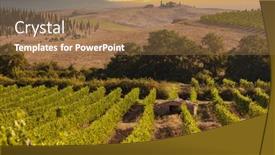  Presentation with vineyards - Presentation design featuring tuscany-s-most-famous-vineyards background and a coral colored foreground