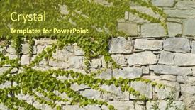  Presentation with portfolio - 