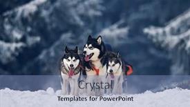  Presentation with dog sled - Cool new theme with tusnad-romania-february-02-portrait backdrop and a teal colored foreground